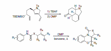 Scheme 5