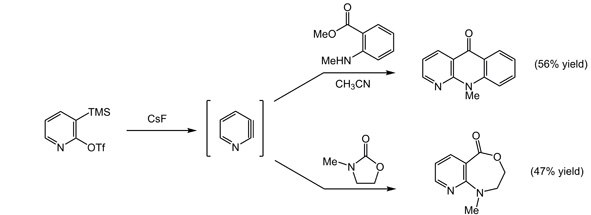 Scheme showing pyridyne intermediates reacting with anilide and lactam nucleophiles to give fused pyridine derivatives with 56% and 47% yields.
