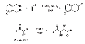 Scheme 5