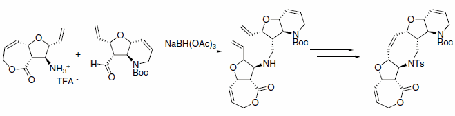 triacetoxyborohydride