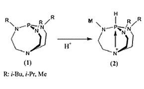 Verkade's bases schematic