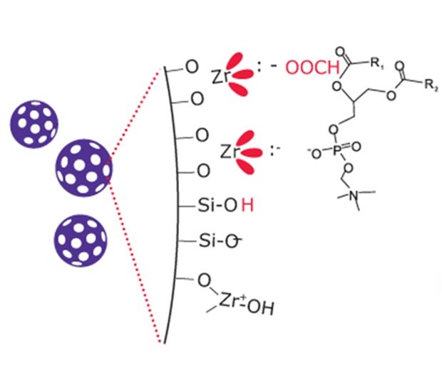 Illustration showing phospholipid particles interacting with zirconia-coated silica sites via Lewis acid–base binding between zirconium centers and phosphate groups.