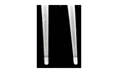 Supel BioSPME device pins A close-up view of two slender, transparent pins positioned vertically against a black background. Each pin has a slightly rounded tip and features a visible 2 mm coating near the tip, indicative of a C18 coating. The coating appears as a faint, slightly darker band on the otherwise smooth and uniform surface of the pins. The pins are evenly spaced and parallel to each other, showcasing their fine and precise construction.