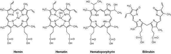 A diagram illustrating the structure of human hemoglobin, specifically chemical structures of Hemin, Hematin, Hematoporphyrin, and Bilirubin