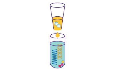 This image illustrates the addition of MagPrep® Silica Particles, which bind to the released nucleic acids during the purification process.