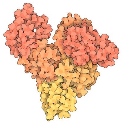 Molecular structure of BSA, based on the crystal structure of Bovine Serum Albumin (PDB ID 3v03) showing the 6 color-coded helical subdomains assembled to form the heart-shaped quaternary structure of  the BSA protein molecule. 