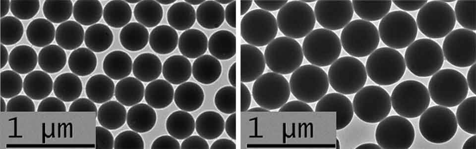 TEM image of Estapor<sup>®</sup> K1-030 Red Intense fluorescent microspheres & Estapor<sup>®</sup> K1-040 Red Intense fluorescent microspheres showing black uniformly spherical shapes