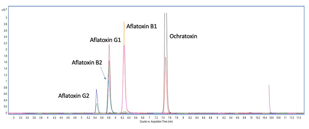 A chromatogram showing the analysis of five mycotoxins under identical chromatographic conditions. The x-axis, labeled “Counts vs. Retention Time (min),” ranges from 0 to 12 minutes, while the y-axis, labeled “Intensity,” ranges from 0 to 2.5e7. Distinct peaks are labeled for Aflatoxin B1, G1, B2, G2, and Ochratoxin. The concentrations are 100 pg/µL for Aflatoxin B1 and G1, 30 pg/µL for Aflatoxin B2 and G2, and 500 pg/µL for Ochratoxin in a solvent mixture of acetonitrile and water (70/30 v/v).