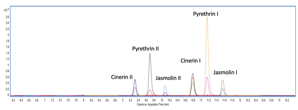  A chromatogram showing the analysis of six pyrethrins under identical chromatographic conditions. The x-axis, labeled “Counts vs. Acquisition Time (min),” ranges from 6 to 12 minutes, while the y-axis, labeled “Intensity,” ranges from 0 to 30 units. Peaks are labeled for Pyrethrin I, Cinerin I, Jasmolin I, Pyrethrin II, Cinerin II, and Jasmolin II. Each compound is present at a concentration of 4 ng/µL in a solvent mixture of acetonitrile and water (70/30 v/v).