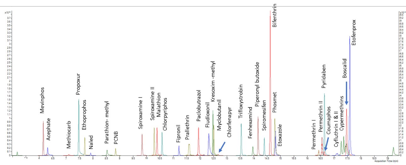 MRM extracted chromatogram of GC-MS/MS amenable pesticides in the California list - Standard at 200 ppb