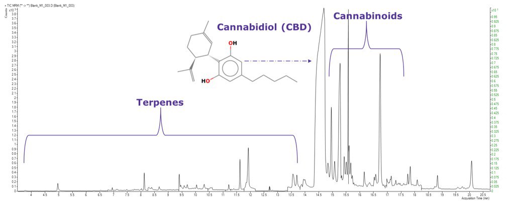 TIC MRM chromatogram of GC-MS/MS amenable pesticides in California list blank sample extract