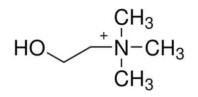 Structural formula of choline showing a hydroxyethyl chain attached to a quaternary trimethylammonium group.