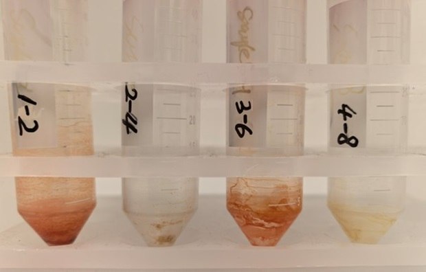 Nitrogen dried ASE extracts ASE extracts from popcorn bag, compostable bowl, grease-proof paper, and french fries bag dried under nitrogen in sample tubes.