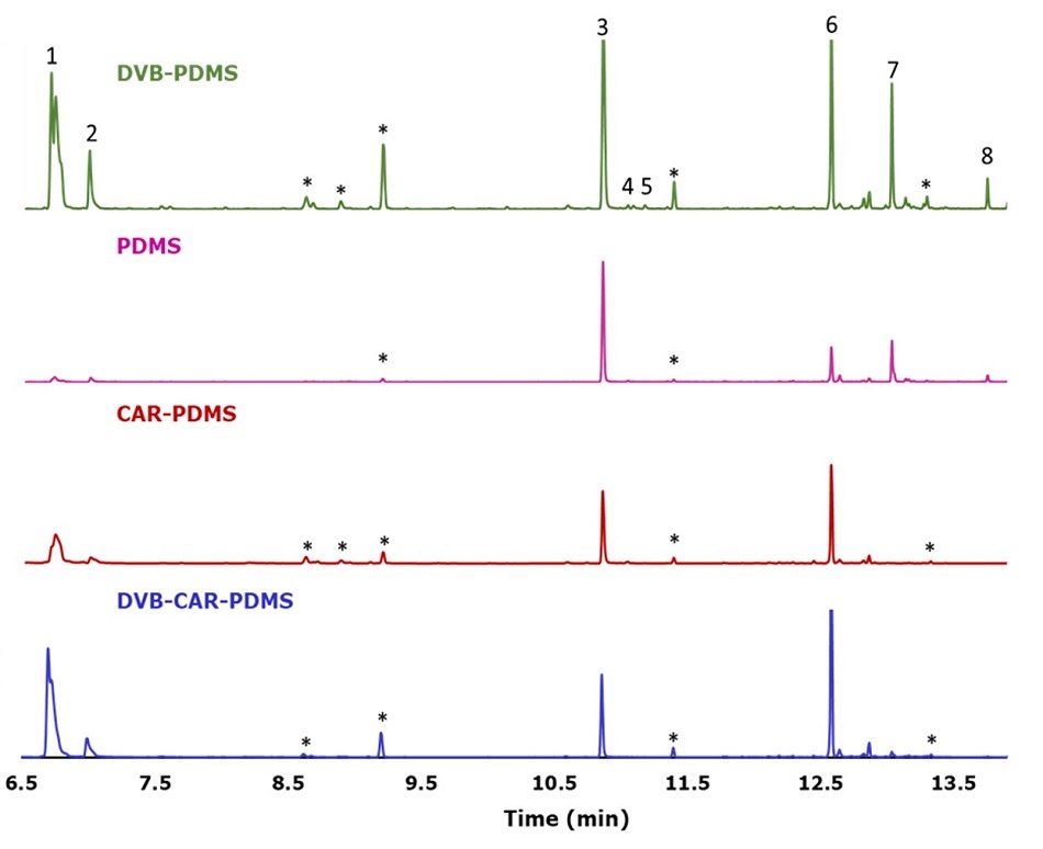 Four overlaid GC/MS chromatograms, each representing different SPME (Solid Phase Microextraction) coatings used for the analysis of fresh Perilla leaves. The chromatograms are color-coded and labeled: DVB/PDMS (green), PDMS (pink), CAR/PDMS (red), and DVB/CAR/PDMS (blue). The x-axis represents time in minutes, ranging from 6.5 to 13.5 minutes, while the y-axis reflects signal intensity, adjusted equally across all chromatograms. Distinct peaks corresponding to specific compounds are marked and numbered: (1) 1-Octen-2-ol, (2) 3-octanol, (3) perilla ketone, (4) egoma ketone, (5) isoegoma ketone, (6) (-)-trans-caryophyllene, (7) α-humulene, and (8) (Z,E)-α-Farnesene. Additional peaks marked with an asterisk (*) represent fiber peaks from the SPME coating.