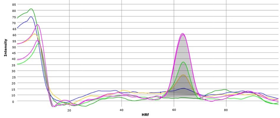 Overlay of chromatograms of standard solutions at concentrations of 0 μg/mL, 5μg/mL,10 μg/mL, 20 μg/mL, 50 μg/mL, and 70 μg/mL.