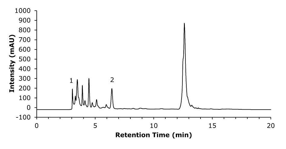 A chromatogram graph representing the analysis of a spiked smoke beer sample containing 20 mg/L of HMF. The x-axis, labeled "Retention Time (min)," spans from 0 to 20 minutes, and the y-axis, labeled "Intensity (mAU)," ranges from -100 to 1000. A black line traces the chromatographic data, starting from the baseline and forming a small peak at 3.1 minutes, labeled "1," representing the void volume. A significantly larger peak, labeled "2," appears at 6.4 minutes, corresponding to the HMF. Additional smaller peaks are visible between these two labeled points, as well as fluctuations throughout the rest of the trace.