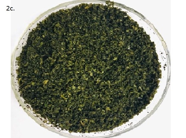 A transparent round container filled with finely chopped or ground green leaves. The contents have a uniform texture and dark green color, indicating homogenized leaves. The fragments are small and evenly distributed, suggesting thorough processing.