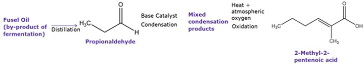 A synthesis diagram leading with the distillation of fusel oil into propionaldehyde, followed by base catalyst condensation resulting in mixed condensation products. These products undergo oxidation via heat and atmospheric oxygen, yielding 2-methyl-penenoic acid. 