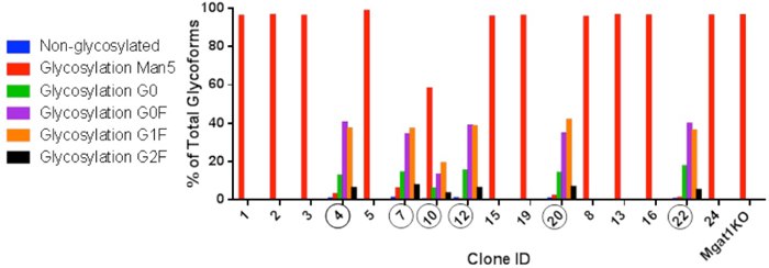 Single Cell Clones