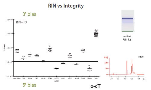 RNA质量测定