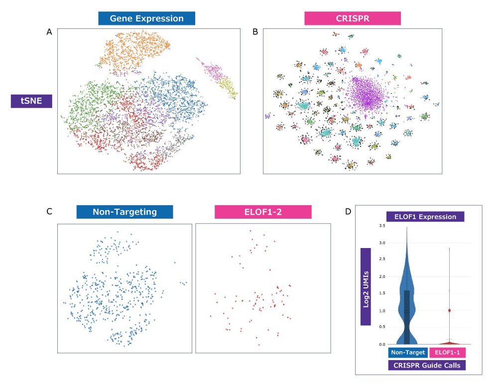 New, higher-resolution analysis with clustering by both CRISPR guide and transcriptomic profile is possible. 