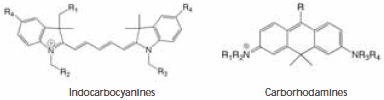 Chemical structures of indocarbocyanines and carborhodamines dyes.