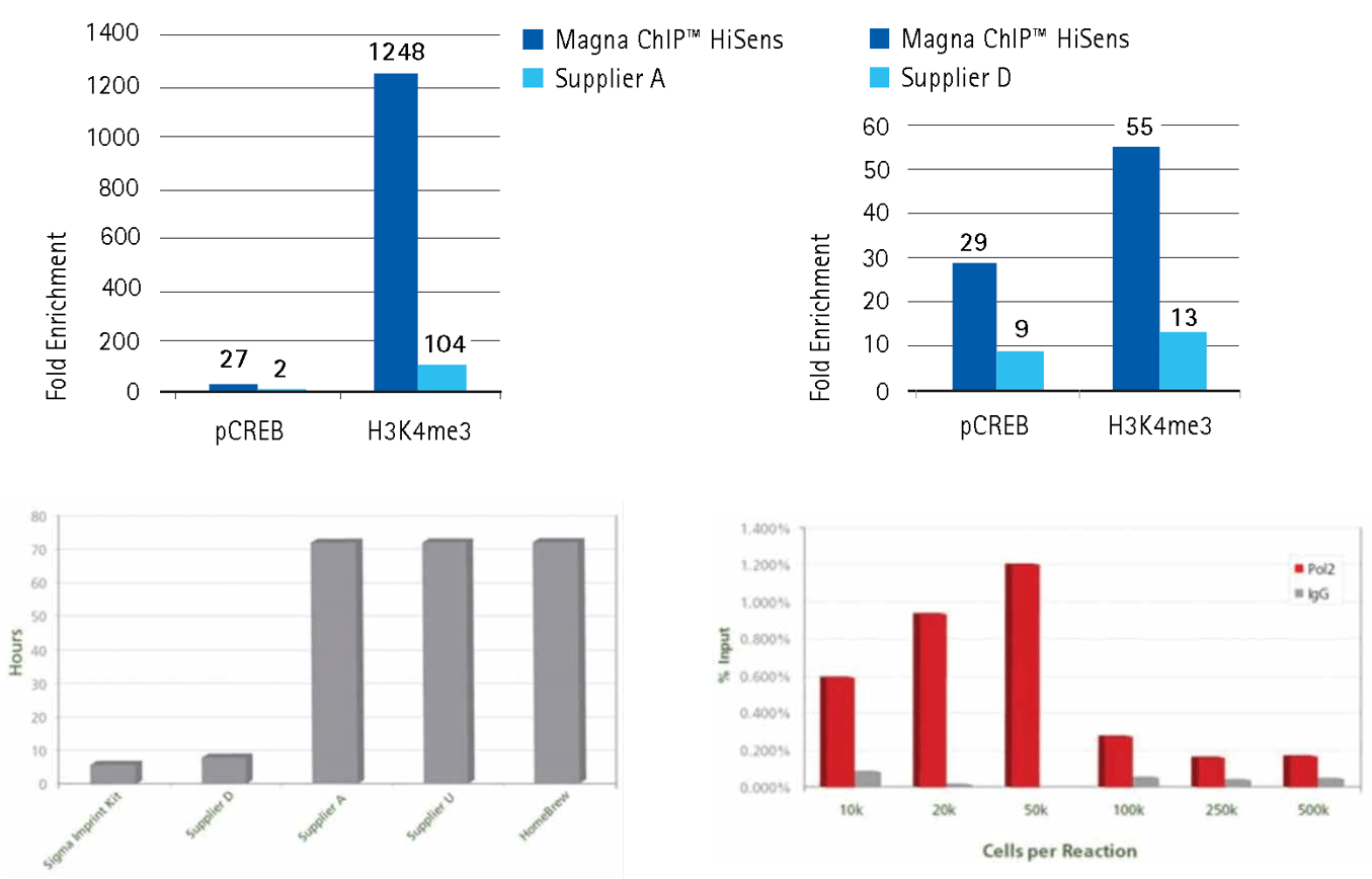 Our kits produce higher fold enrichment using low amounts of chromatin or shorter procedure than other supplier's kits