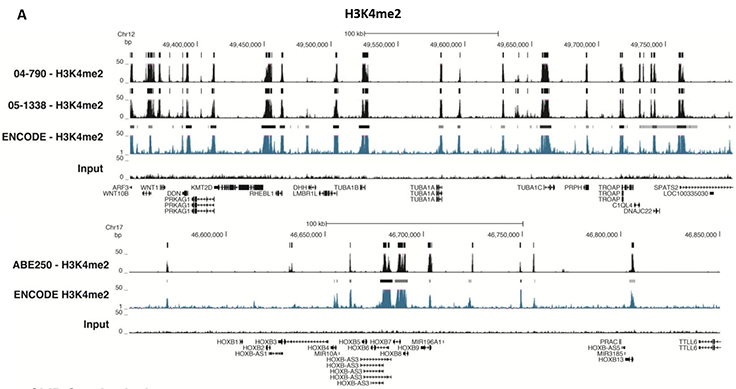 ChIP-Seq Analysis