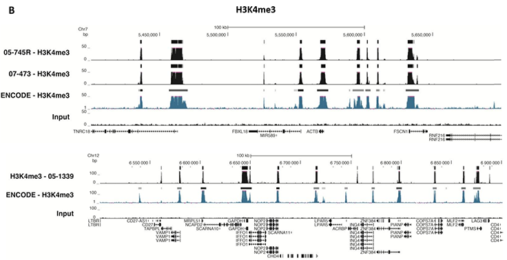 ChIP-Seq Analysis