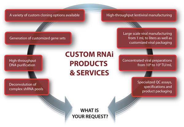 Custom RNAi Products & Services