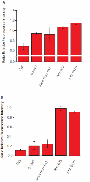 Influence of atmospheric ozone on fluorescence intensity.