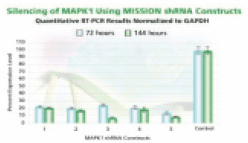 MAPK 1 gene silencing.