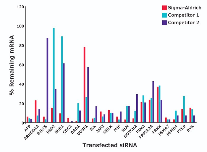 HeLa cells transfected with predesigned siRNA at a concentration of 30 nM.