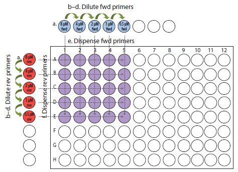 Primer optimization example