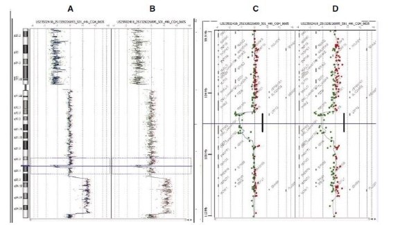 CGH Analytics ideograms illustrating data from Agilent Human Genome CGH 44B microarrays