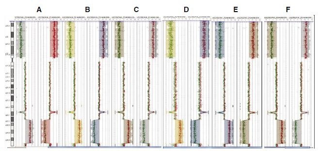 CGH Analytics ideograms