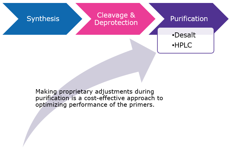 Graphical representation of the Primer purification process