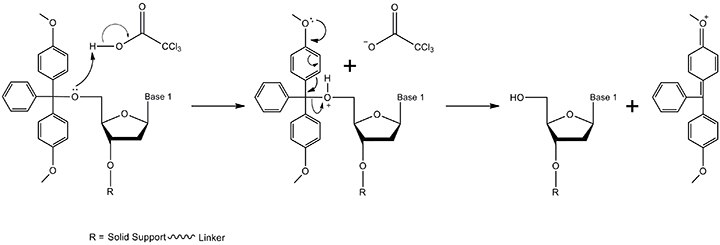 The detritylation mechanism