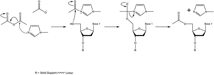 The capping mechanism