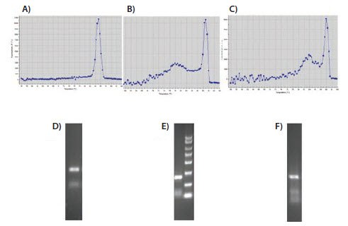 Evaluation of melt curves