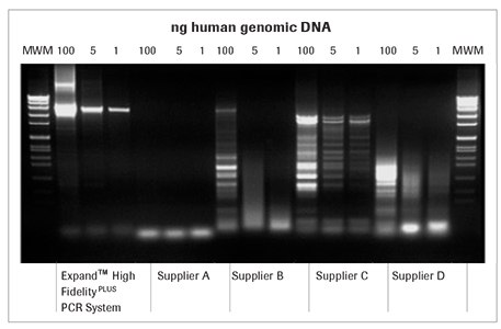 expand-高-保真-pcr-比较 