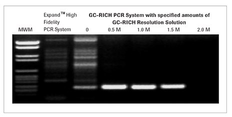 gc-rich-pcr-系统-02