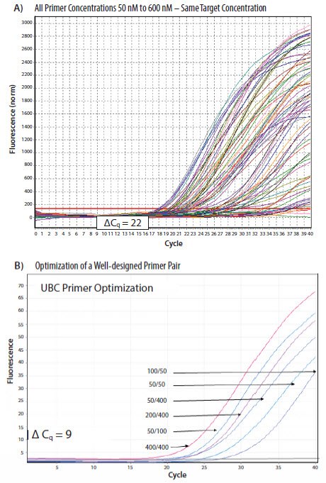 Results from a PCR primers concentration optimization from a SYBR Green I dye assay