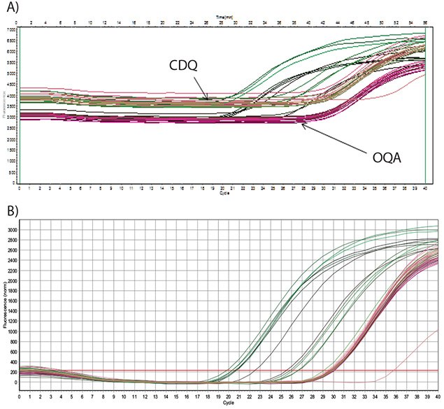 Dilutions of an artificial oligo