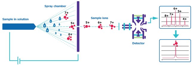 ESI-MS operates via a spray chamber