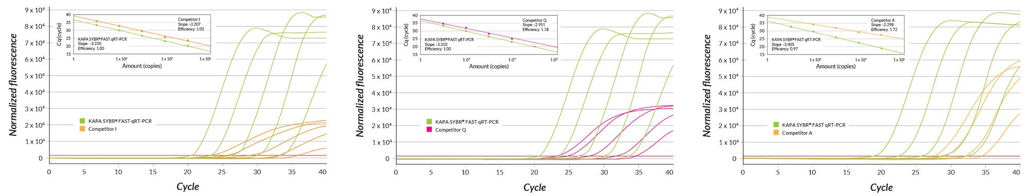 RRMI gene