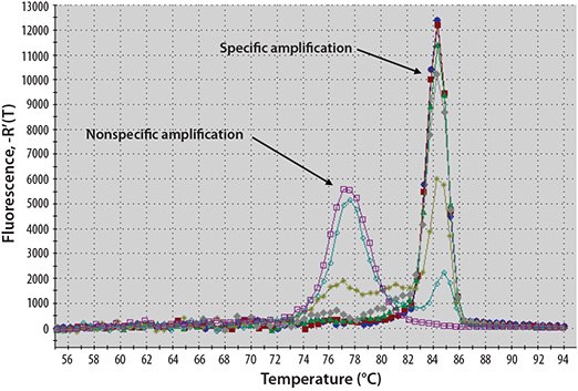 Example Melt Curve Analysis