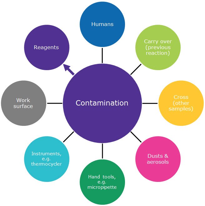 Example sources of contamination that negatively affects both SYBR Green and probe-based qPCR and dPCR.