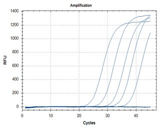 SARS-CoV-2 detection assays utilizing the KiCqStart® One-Step Probe RT-qPCR ReadyMix™ (Cat. No. KCQS07) for primer targets N1 (graph A) and N2 (graph B).