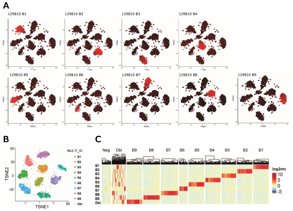 scRNA-seq experimental data using MULTI-seq and 9 different barcodes.